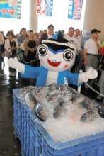 カツオの港で元気発信　勝浦カッピー（勝浦市）　【ちば　ゆるキャラコレクション】