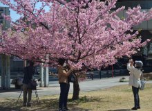 ぽかぽか陽気に笑顔　千葉県内、全１５地点で今年最高気温　佐倉市で２２・４度記録