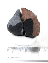 【動画あり】習志野隕石１号を精巧再現　２０日から市役所に展示　３Ｄプリンターと職人手塗りで作成
