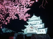 ４年ぶり「千葉城さくら祭り」開催へ　ご当地グルメやライトアップも　２５日から、千葉市・亥鼻公園