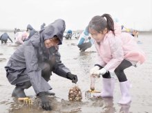 アサリやハマグリ次々と　雨の中、家族連れら笑顔　富津海岸で潮干狩り場オープン