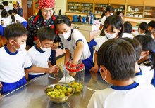 「梅干しおいしくなあれ」　神崎小児童、仕込みに挑戦　伝統食への理解深める