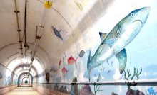 色彩豊か“海中の感覚”　マダイやシャチ生き生きと　とんねる水族館（鴨川）　【ふさの国探宝】