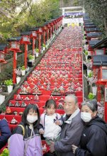 石段埋める人形１８００体　勝浦、華やか「ビッグひな祭り」　市内あちこちで展示に工夫