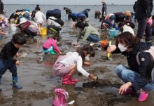 １５日から春告げる潮干狩り　富津、木更津で順次オープン