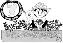 ＜地産地消［落花生］＞　中心５種味わい多彩　【現代食事考】（１７４０）