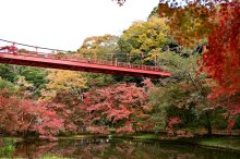 県都に“秋の訪れ”告げる紅葉　泉自然公園　千葉市若葉区