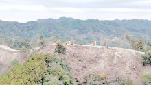 鴨川メガソーラー、事業者側が継続の意向　ＦＩＴ認定取り消しでも　熊谷知事「行政が納得できる根拠を」
