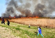 【動画あり】湿原環境保全へヨシ焼き　中学生も参加、活動学ぶ　東庄・利根川下流域