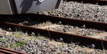 【速報】ＪＲ内房線で一部運休　倒木と接触、午後０時半ごろに再開見込み