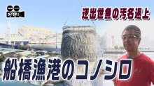 ツイセキ！！５月号