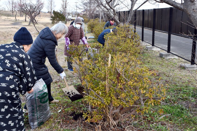 ツツジの手入れを行う佐原商工会議所女性会のメンバーら＝香取市の水郷佐原あやめパーク