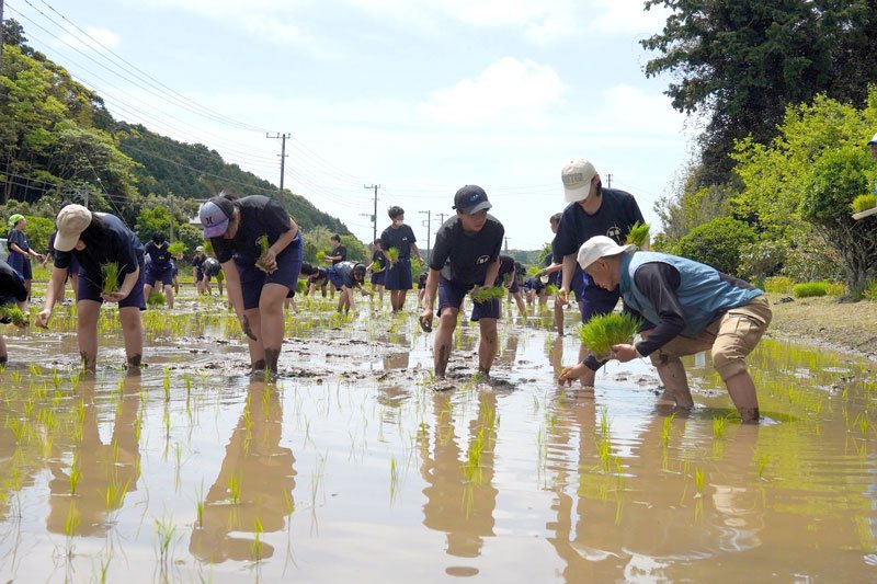 豊作願い元気に田植え　中学生地場産業学ぶ　勝浦