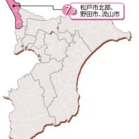 斎藤を３新人が追う　７区　【ちば衆院選　県内選挙区の情勢】