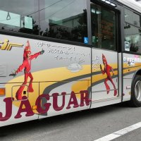 【動画あり】ジャガーさんバス登場　市川・京成トランジットバス　創立２０周年でコラボ　車内アナウンスも担当