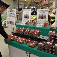 「千」常設販売スタート　食のブランド認知度向上へ　そごう千葉店と千葉市連携