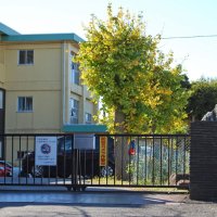 【独自】千葉市立中学でいじめ　被害者がリストカットなど自傷行為、転校した生徒も