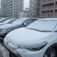 駐車場の車は雪で真っ白に＝午後４時半すぎ、市川市