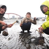 アサリ順調に成育　木更津・５海岸の潮干狩り場　２４日から順次オープン　ハマグリ探しイベントも