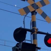 【速報】小湊鉄道の列車と車が衝突　遮断機がない踏切で　車の男性２人が軽傷　乗客にけがなし　千葉・市原市