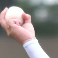 天皇賜杯　第８０回全日本軟式野球千葉県大会