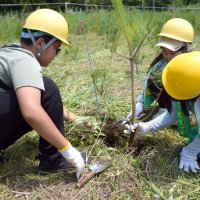 森林保全活動に汗　富津　家族ら草刈りや植え替え