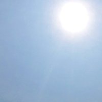茂原と市原で夏日　５日、南風の影響気温上昇