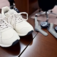 ＩＣＴ歩行補助器に助成を　盲導犬普及団体、千葉市に要望