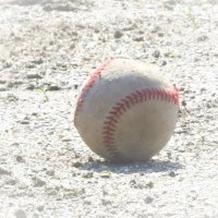 ソフトバンク上沢、全球団勝利