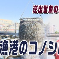 ツイセキ！！５月号