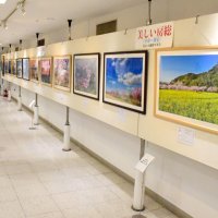 季節感あふれる２４点披露　「美しい房総」写真展　そごう千葉１１日まで